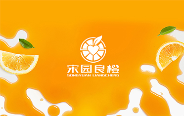 某良橙——咸宁LOGO设计